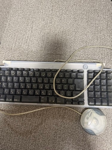 Clavier souris usb apple - clavier,