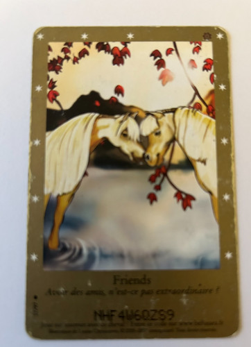 C88 carte bella sara friends - c88/,