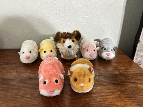 Zhu pets hamsters puppy - zhu,