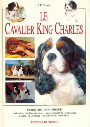 Cavalier king charles - le,
