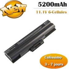 Batterie F SONY VAIO