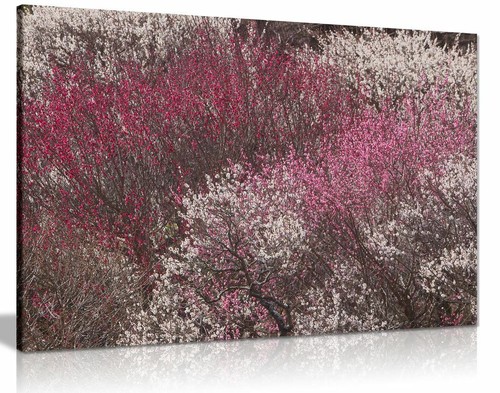 Tableau art mural sur - , toile