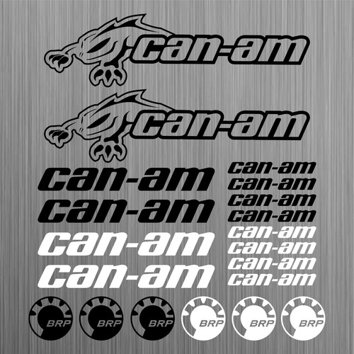 Pour can canam brp renegade - can-am,