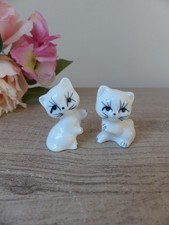 Paire de chatons joueurs en