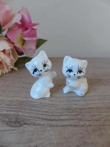 Paire chatons joueurs en - paire,