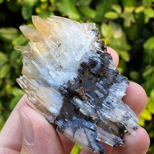 Baryte barytine bleue - baryte/barytine,