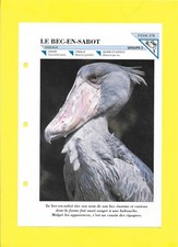 Fiche - N°276 - Le bec-en-sabot