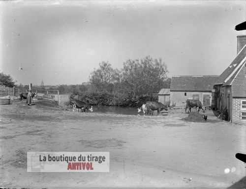 Cour ferme vaches - cour, plaque