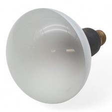 Lampe Photo PR 220V 500W A2