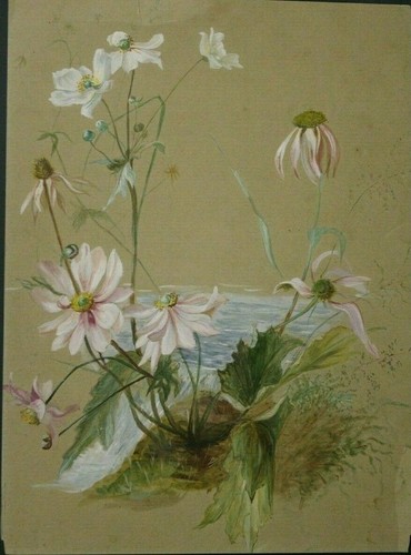 Aquarelle gouache 19ème - et,