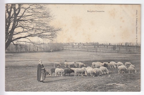 Cpa limousin bergere - cpa,