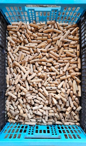 Lot 100 boutons allongés - 100,