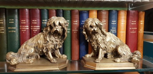 Serre livres bronze sur - serre,