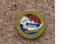 Pin's EDF GDF services Lyon