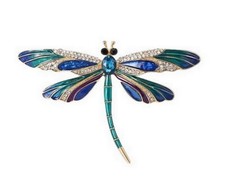 Broche bijou insecte libellule