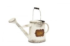 Arrosoir en Métal pour Jardin