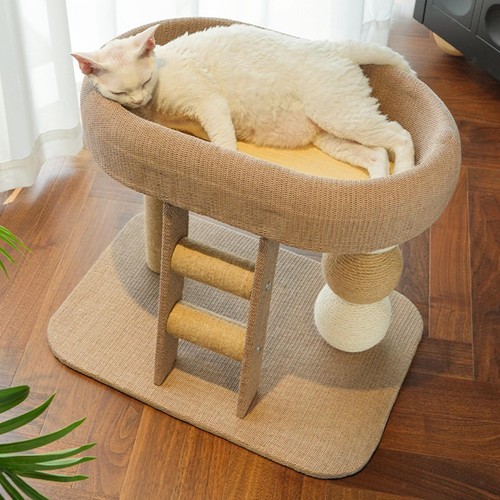 Petit arbre chat avec - arbre,