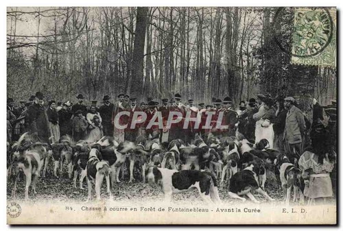 Chasse courre forêt de - à,