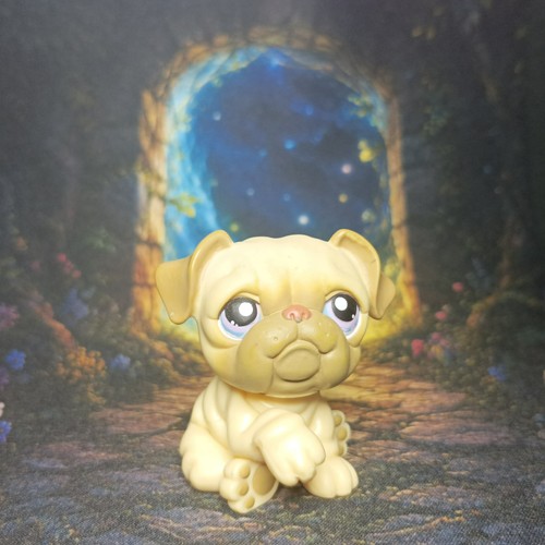 Chien bouledogue 135 - #135, littlest