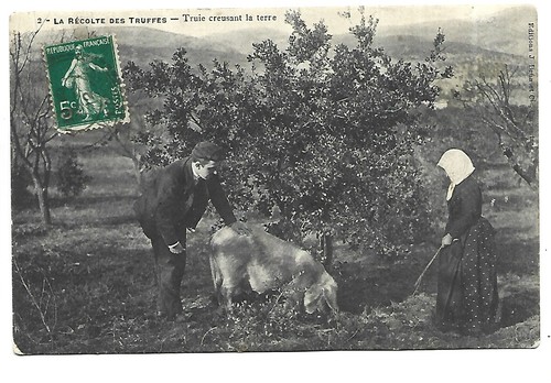 Agriculture recolte des - agriculture,