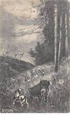 Sports - n°85606 - Chasse - Chien près d'un sanglier