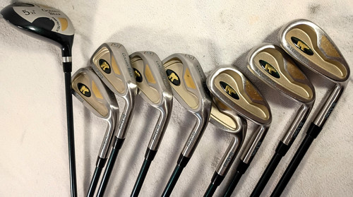 Macgregor golden bear - golden,