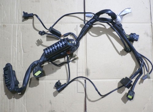 Faisceau cable avant ducati - faisceau,