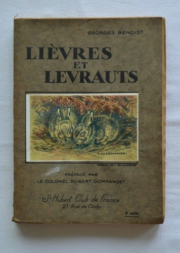 Lièvres levrauts georges - lièvres, et