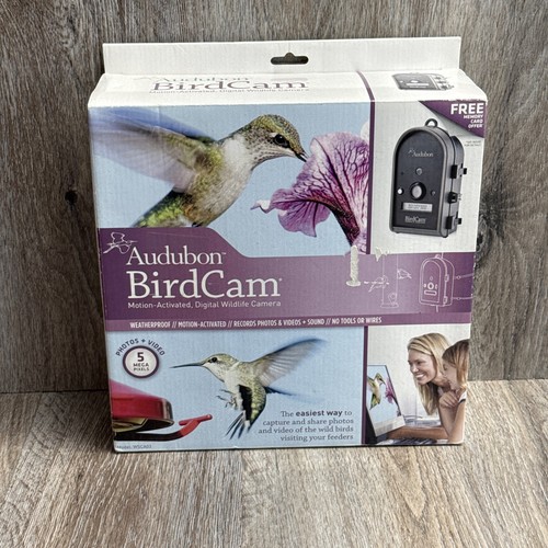 Audubon bird cam - cam, motion
