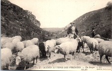 65 - scenes et types des