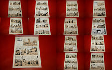 NANO ET NANETTE ET LE PETIT