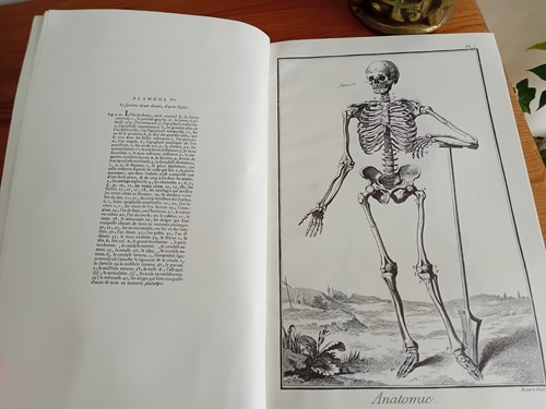 Anatomie diderot rare - diderot,