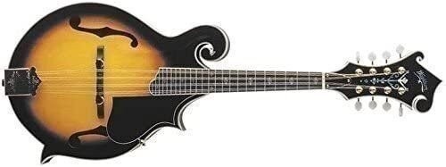 Tenor ukulele gloss gigbag - tenor, w/gigbag