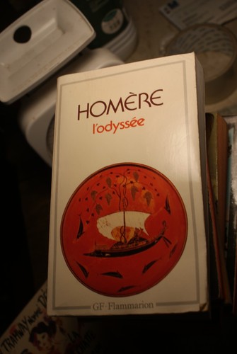 Odyssée homère livre - l'odyssée,