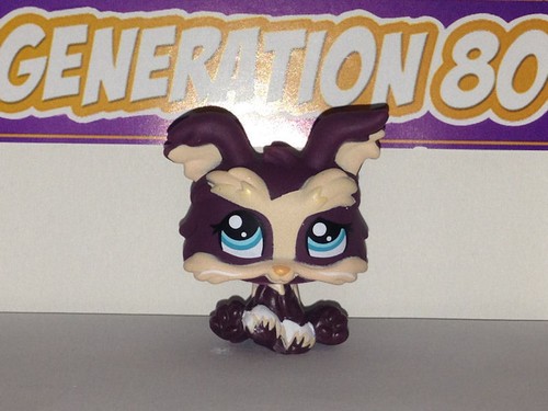 Littlest petshop yorkshire - littlest,