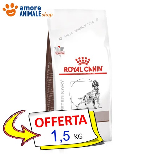 Royal canin chien - royal, →