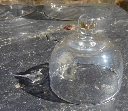 Petite cloche fromage