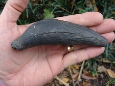 4.855 inch MEG SNACK Georgia