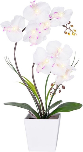 Led orchid lamp - led, faux