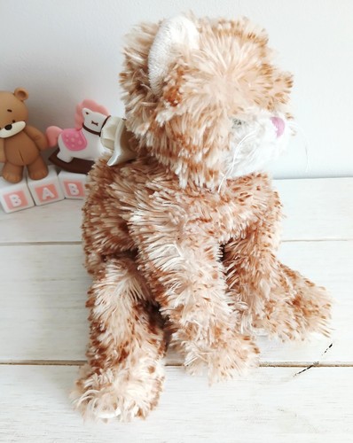 Bukowski doudou peluche - , chat