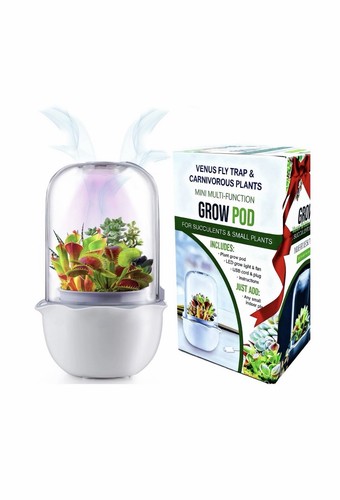 Mart venus fly trap - venus, terrarium