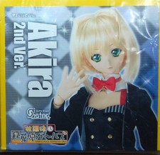 Figurine VOLKS Dollfie Dream Sister DDS Akira 2nd Ver inutilisée boîte usée p...