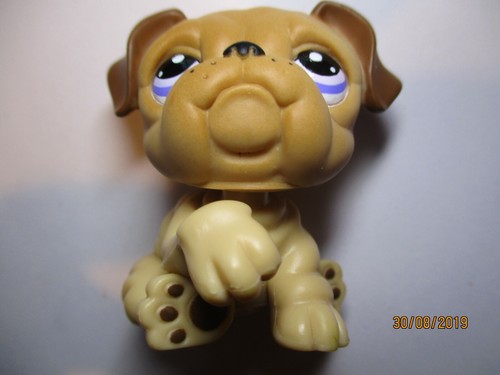 Petshop chien bouledogue - petshop,