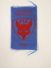 Ecusson Scout LOUP DE BERET