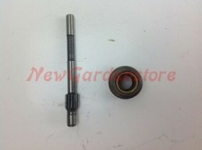 Pompe À Huile STIHL Moteur De