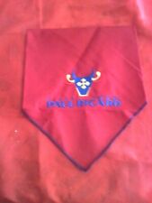foulard de plubiciter ricard