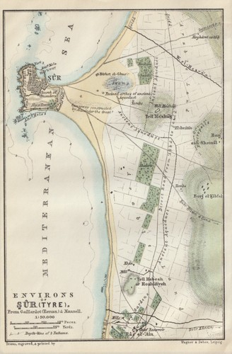 Tyros environnement ṣūr - et,