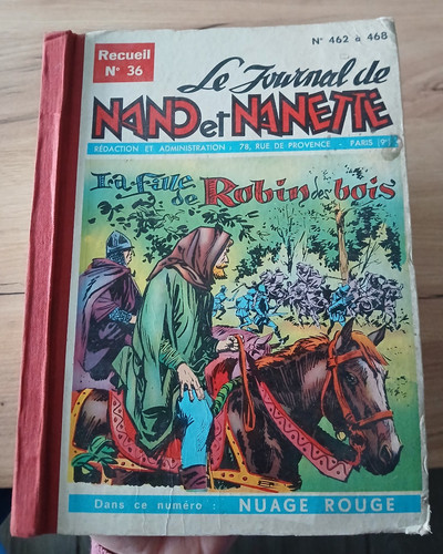Journal nano et nanette - le,