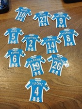 Magnet  Lot 11  magnets just foot 2009 GRENOBLE maillot ligue 1 