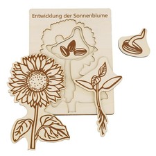 Puzzle du Cycle Vie Tournesol